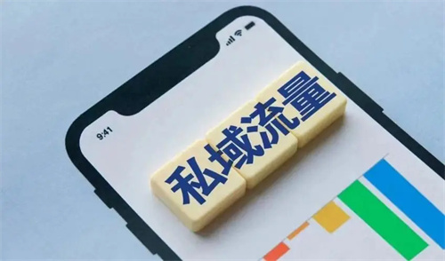 tiktok引流获客哪家强 最新TikTok引流获客提升技巧